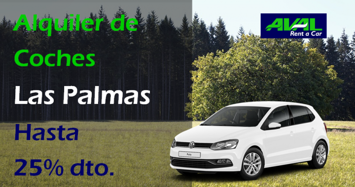 alquiler coches las palmas de canarias